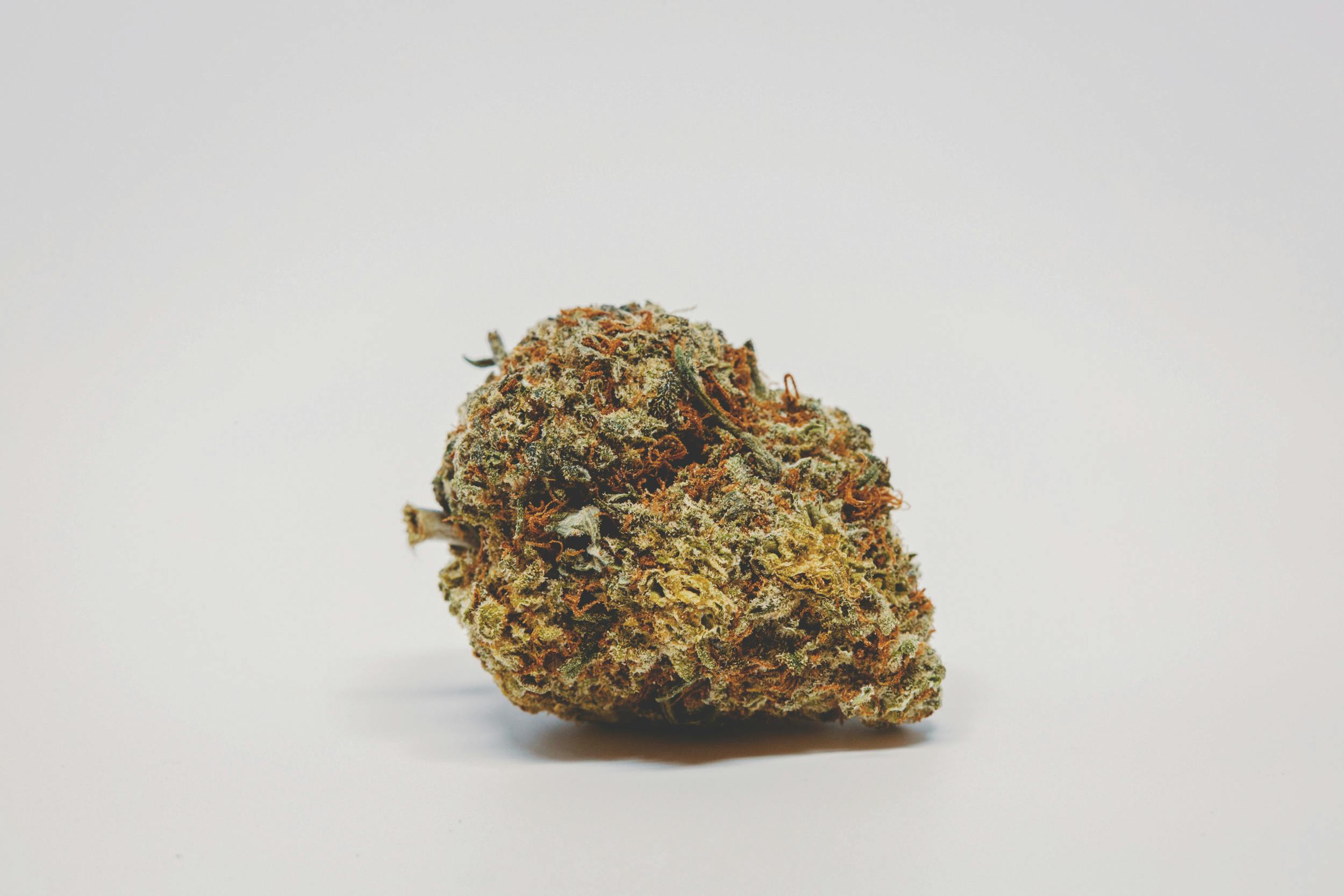 A nug of one of the best weed strains.