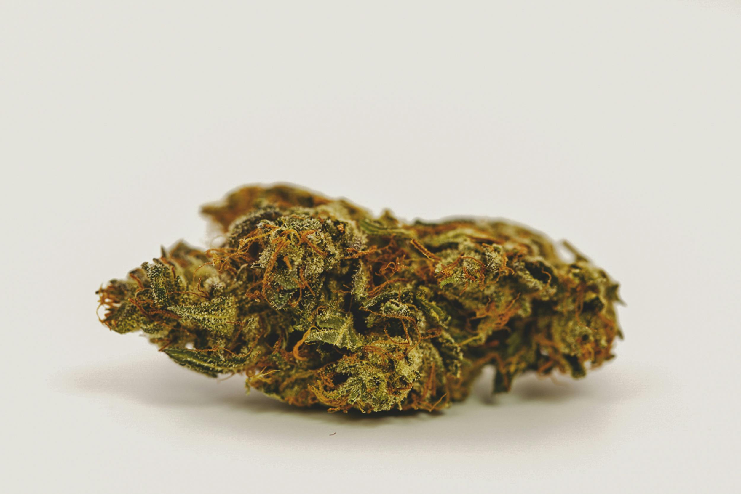 These are the Best Kush Strains on the Herb Herb