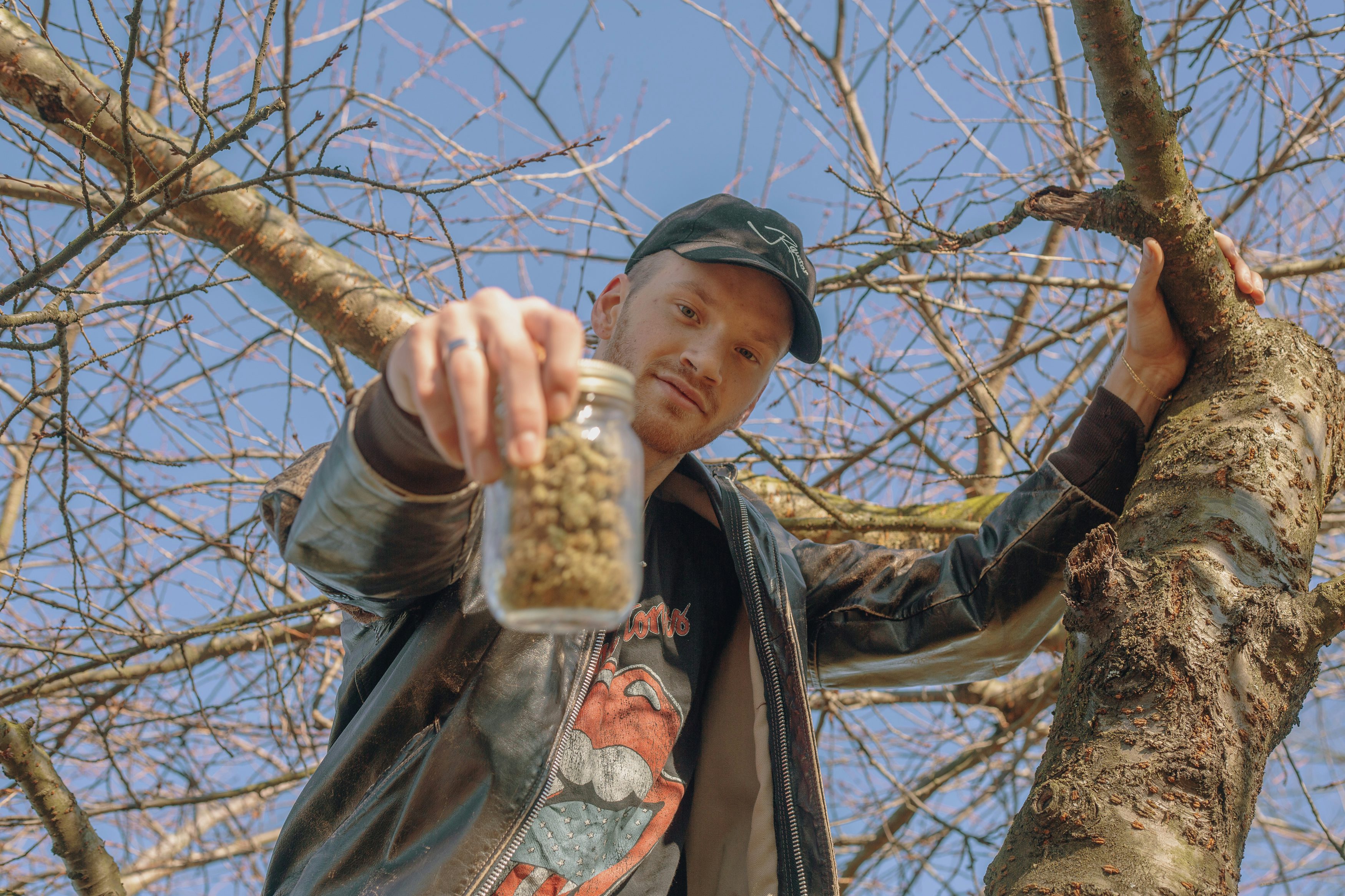 Make Sure Youre Not Getting Ripped Off With The Ultimate Guide To Weed Prices6 How To Make Super Soil And Grow Better Cannabis Plants