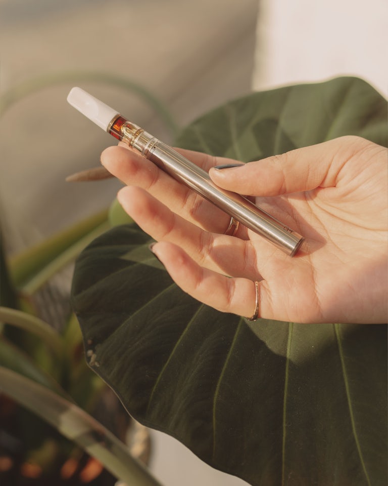 The Definitive Guide to Vape Oil Cartridges 3 How To Make Super Soil And Grow Better Cannabis Plants
