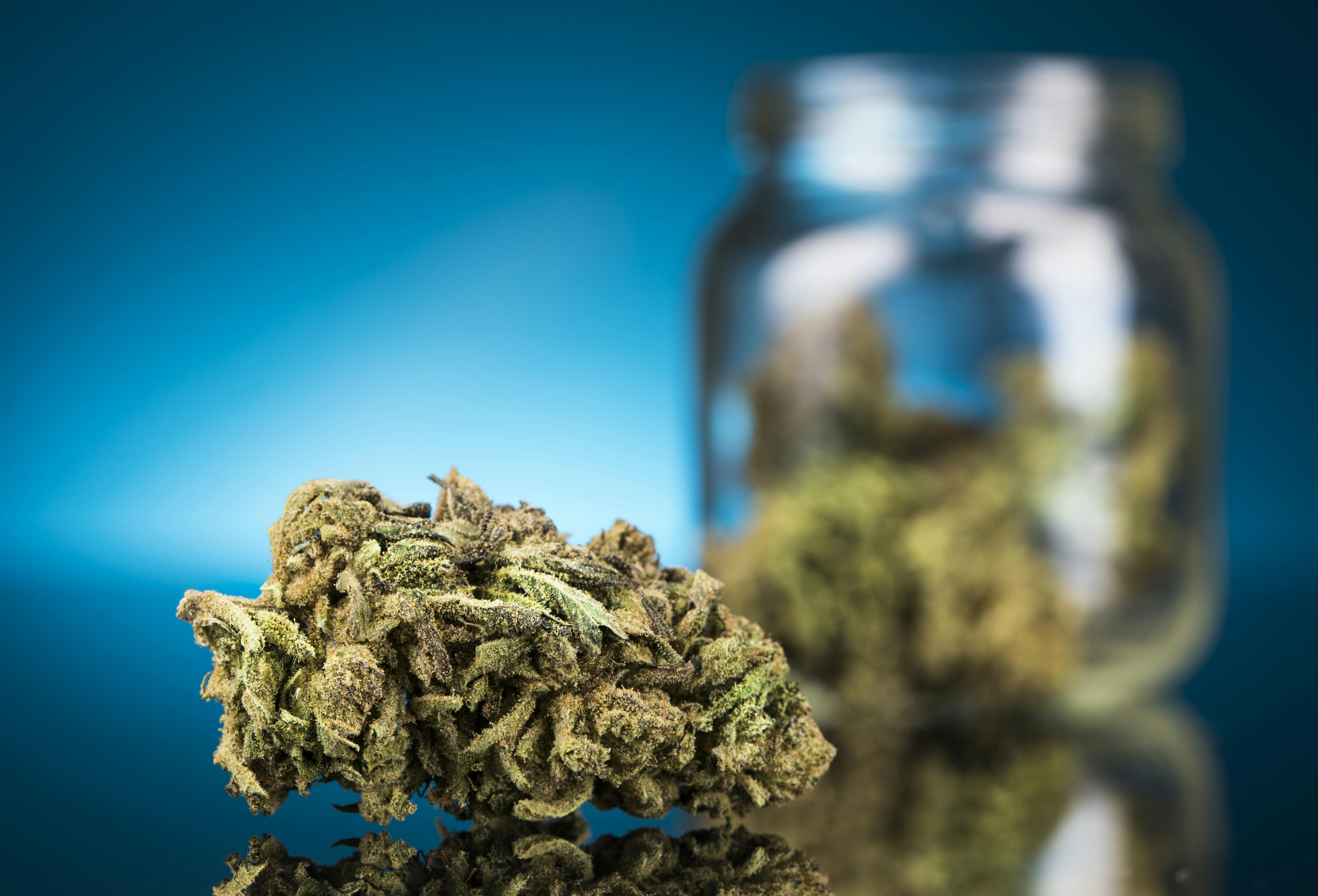 Blue Zkittlez Marijuana Strain Herb