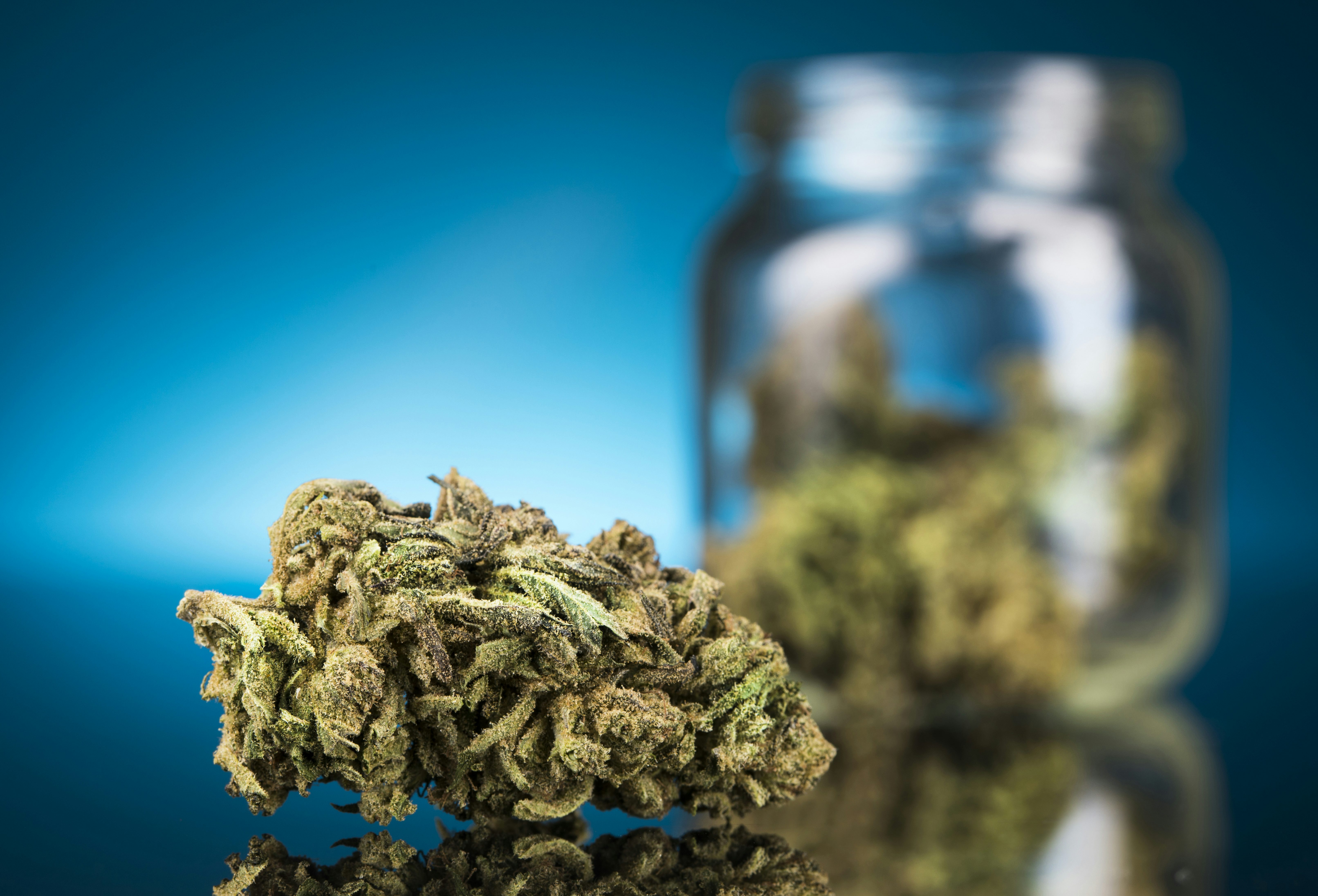 Blue Zkittlez Marijuana Strain