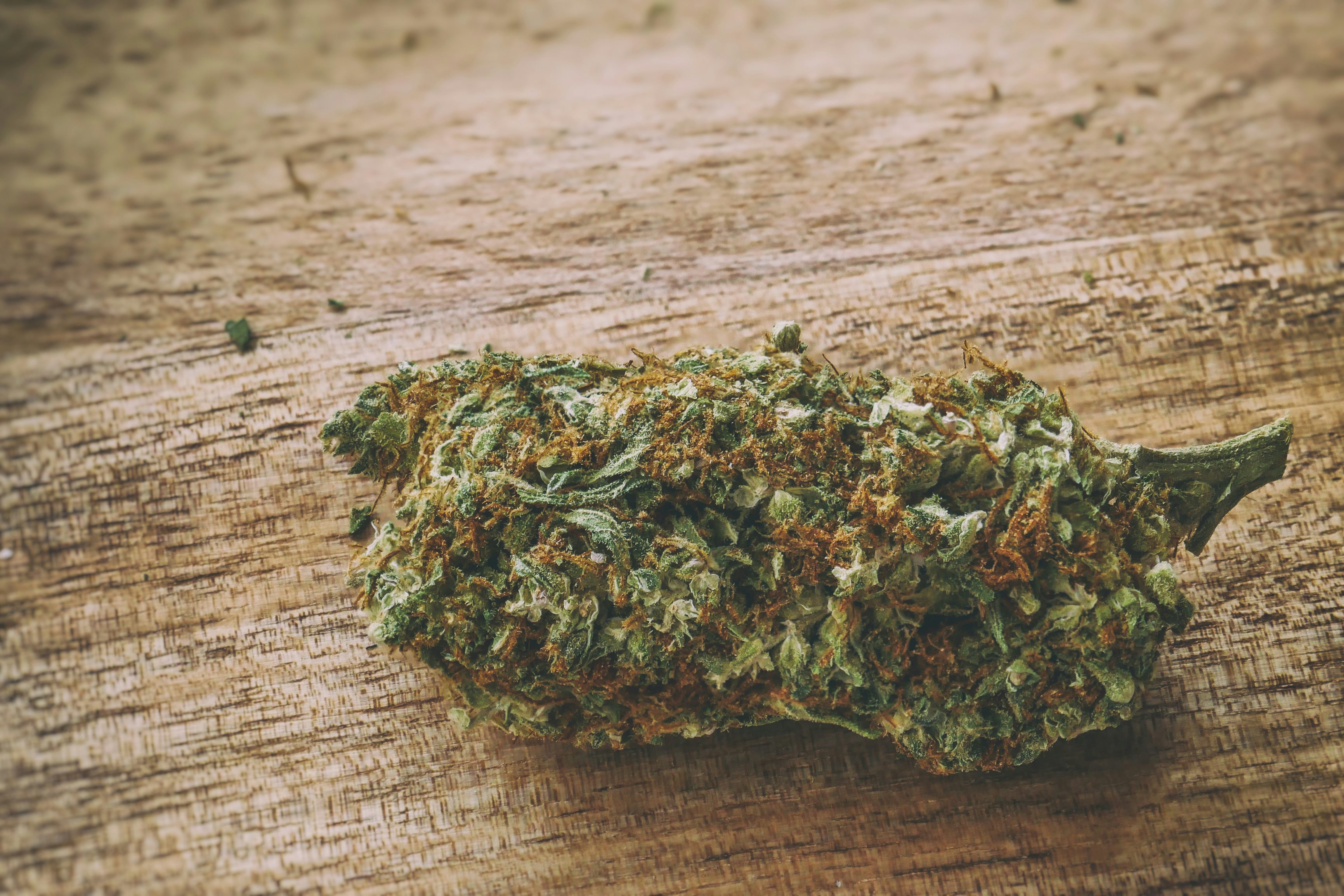 Lemon Squeeze Strain