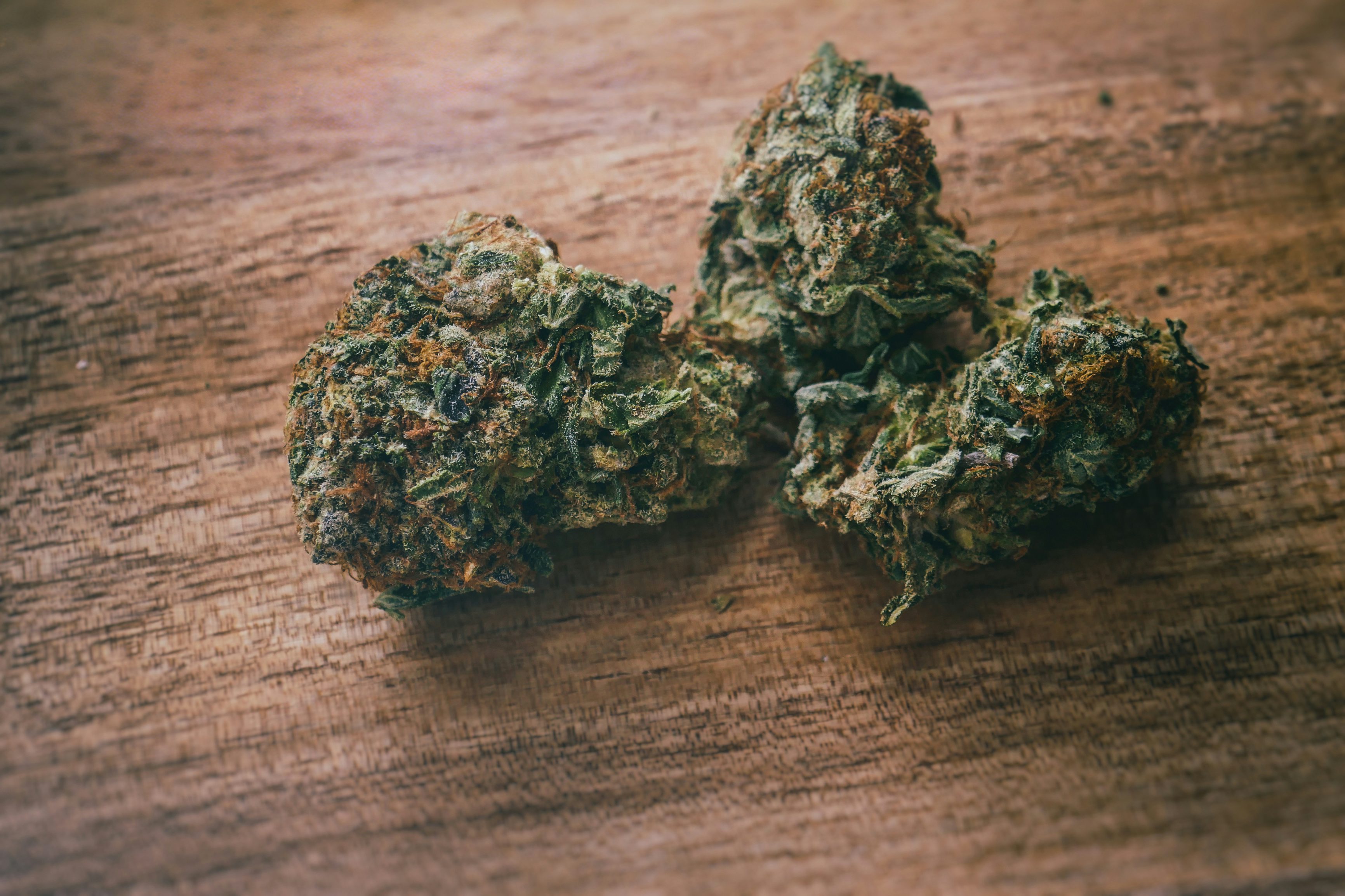 Marathon OG Marijuana Strain