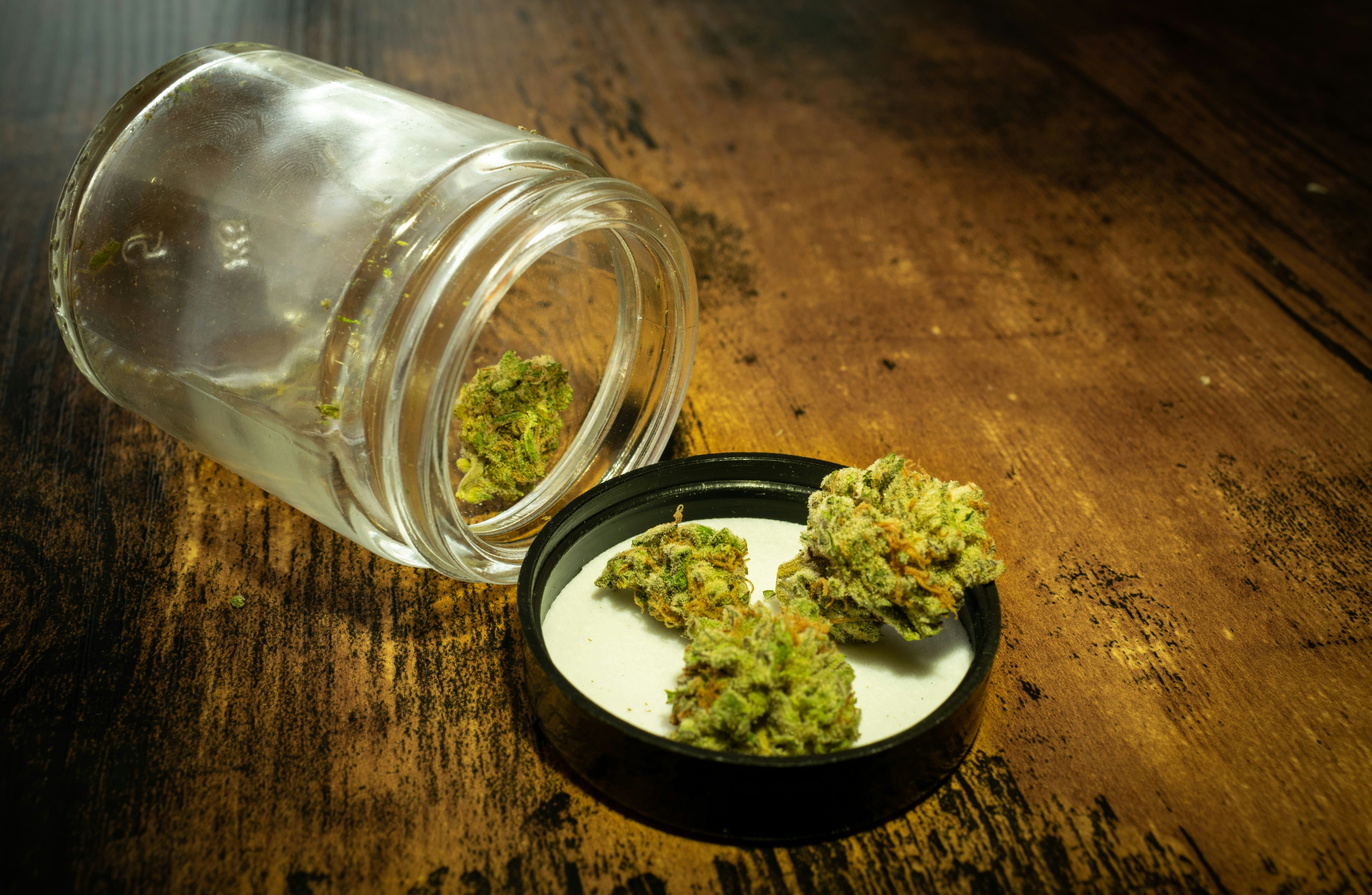 Sundae Driver Marijuana Strain