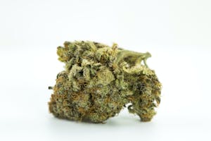 Grand Daddy Purp Marijuana Strain