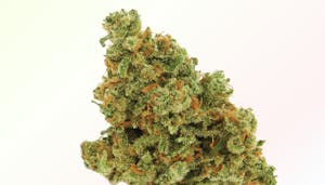 Strains Sense: Lemon Squeeze