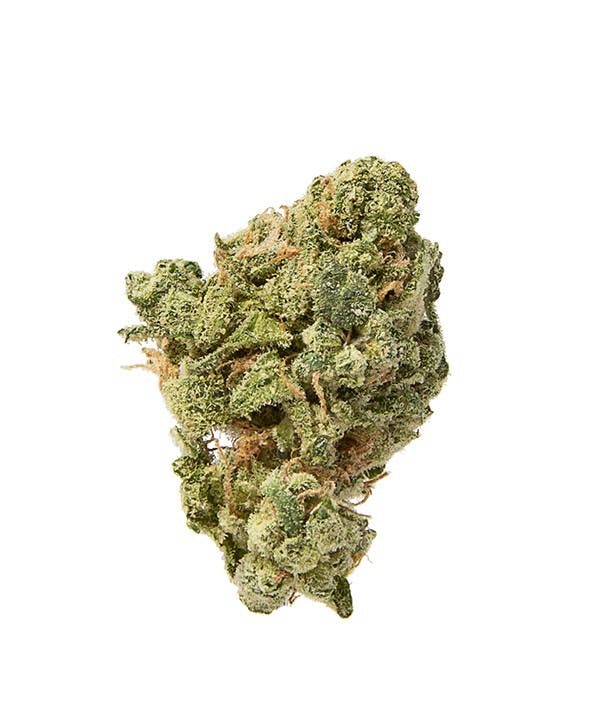 Blue Zkittlez Marijuana Strain