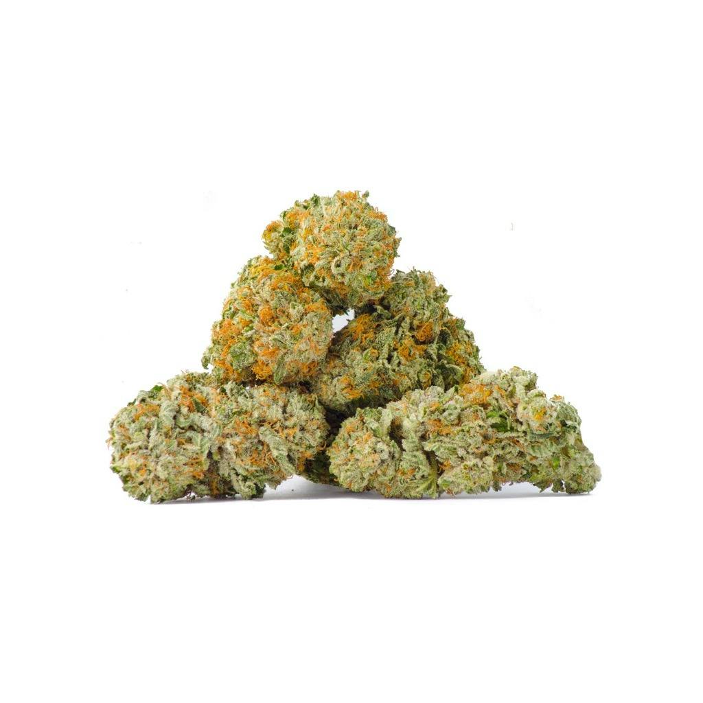 Orange Dreamsicle Strain  Orange Creamsicle Marijuana Strain