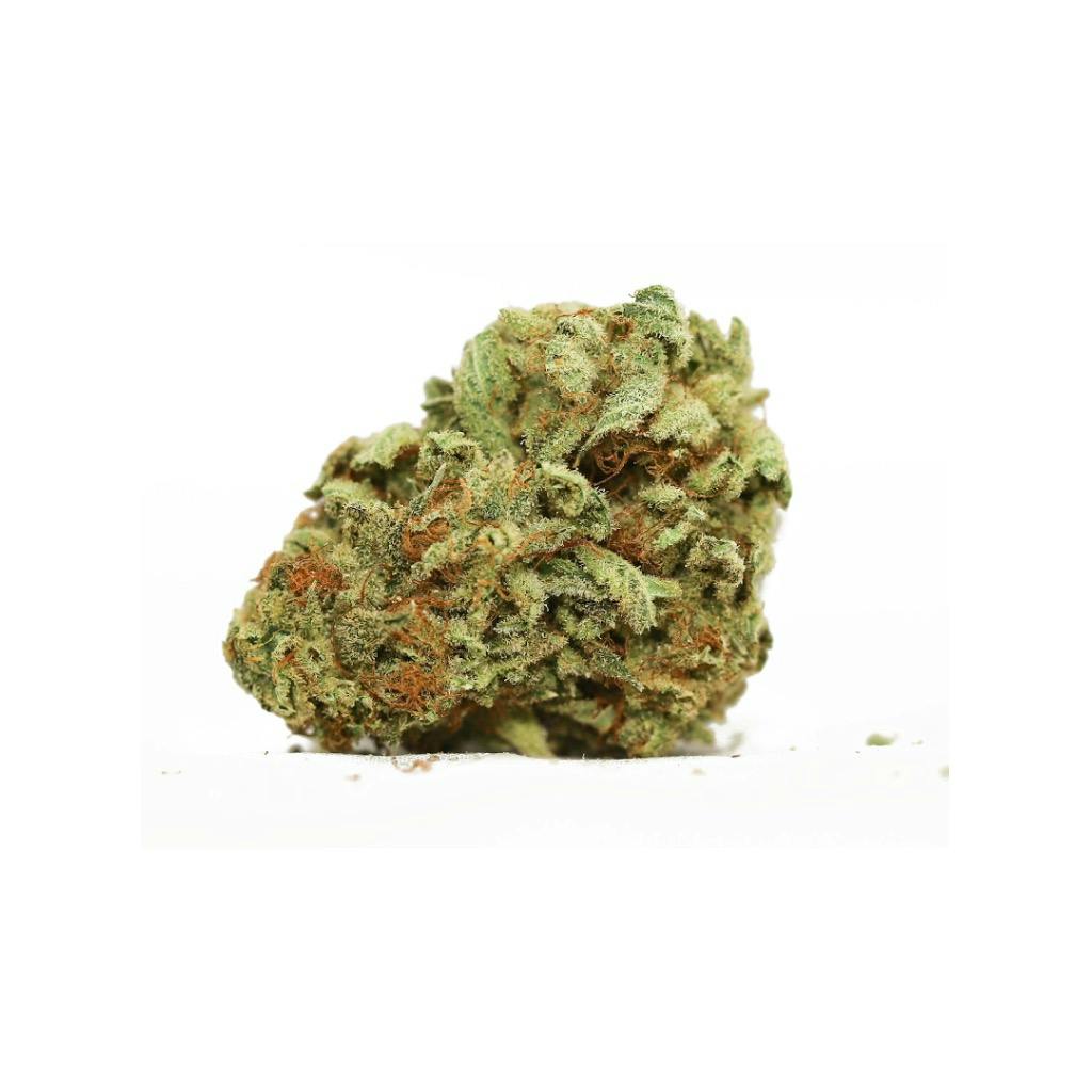 Orange Dreamsicle Orange Creamsicle Marijuana Strain