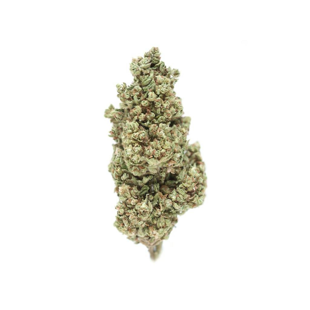 Hawaiian Haze Strains Sense: Sour Hawaiian Haze