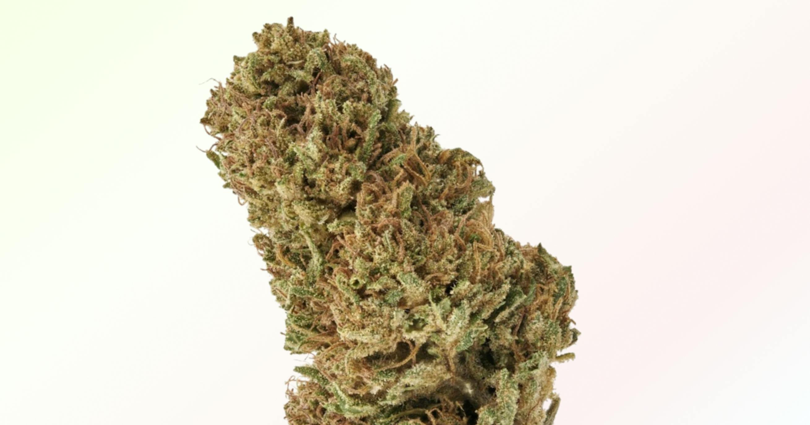 Strains Sense Sour Space Candy