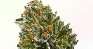 Strains Sense: Bubba Kush