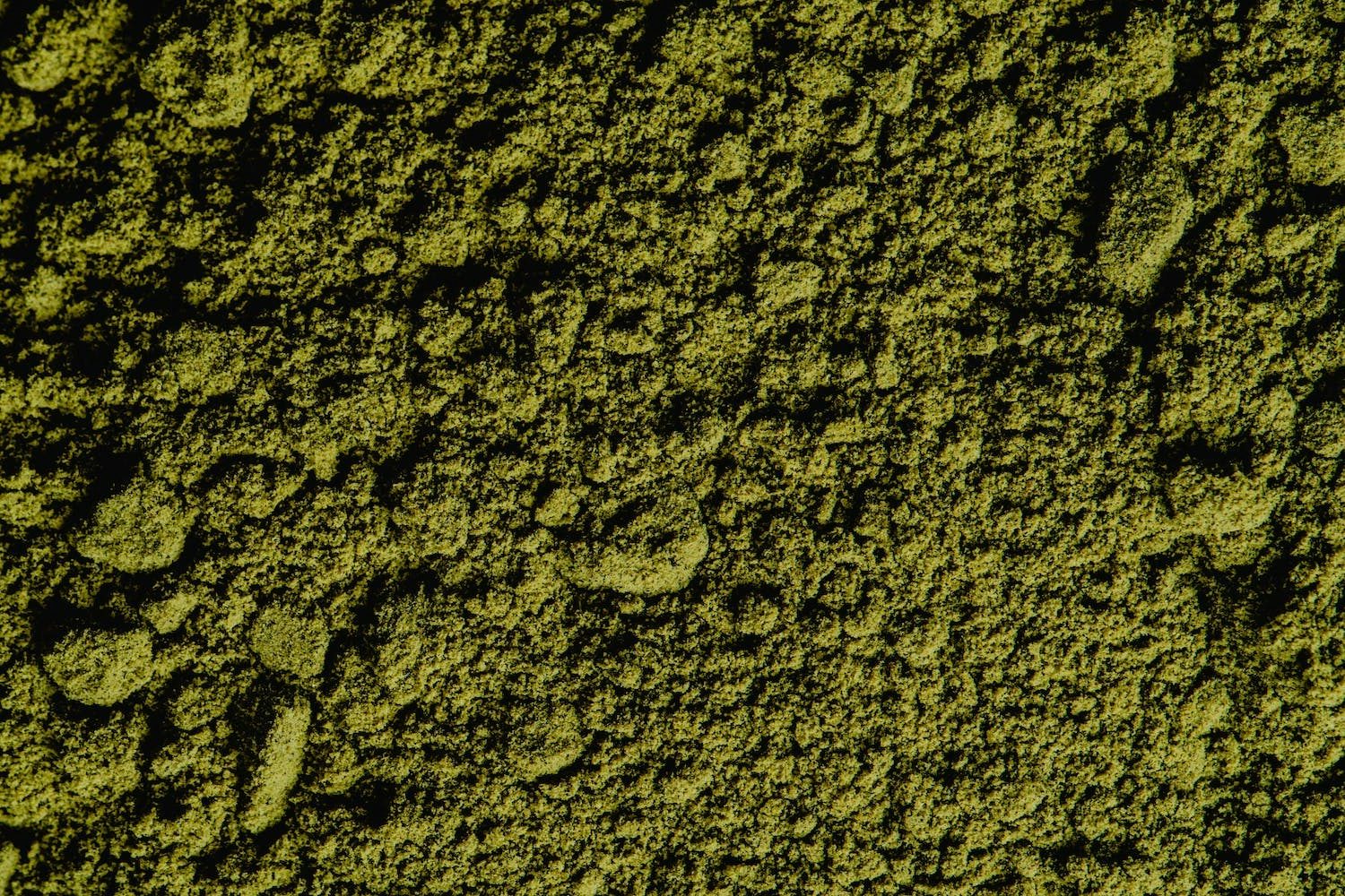 Flying With Weed: How To Get Cannabis Through Airport Security