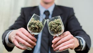 6 Tips To Handle And Choose A Good Weed Dealer