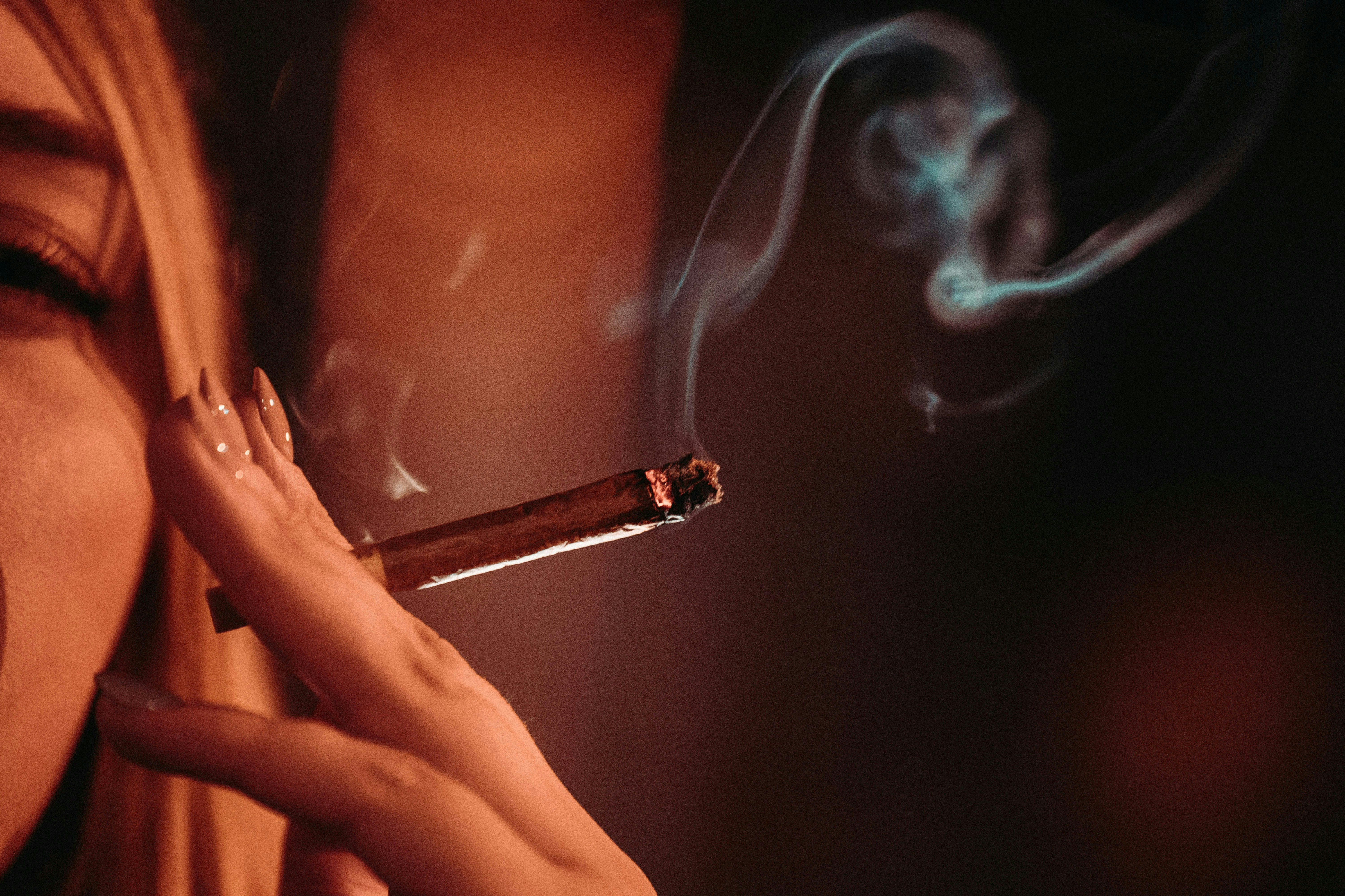 gras grun Qtdg8ocVraQ unsplash 5 Weed Etiquette in 2025: From Circle Rules to Zoom Sesh Faux Pas