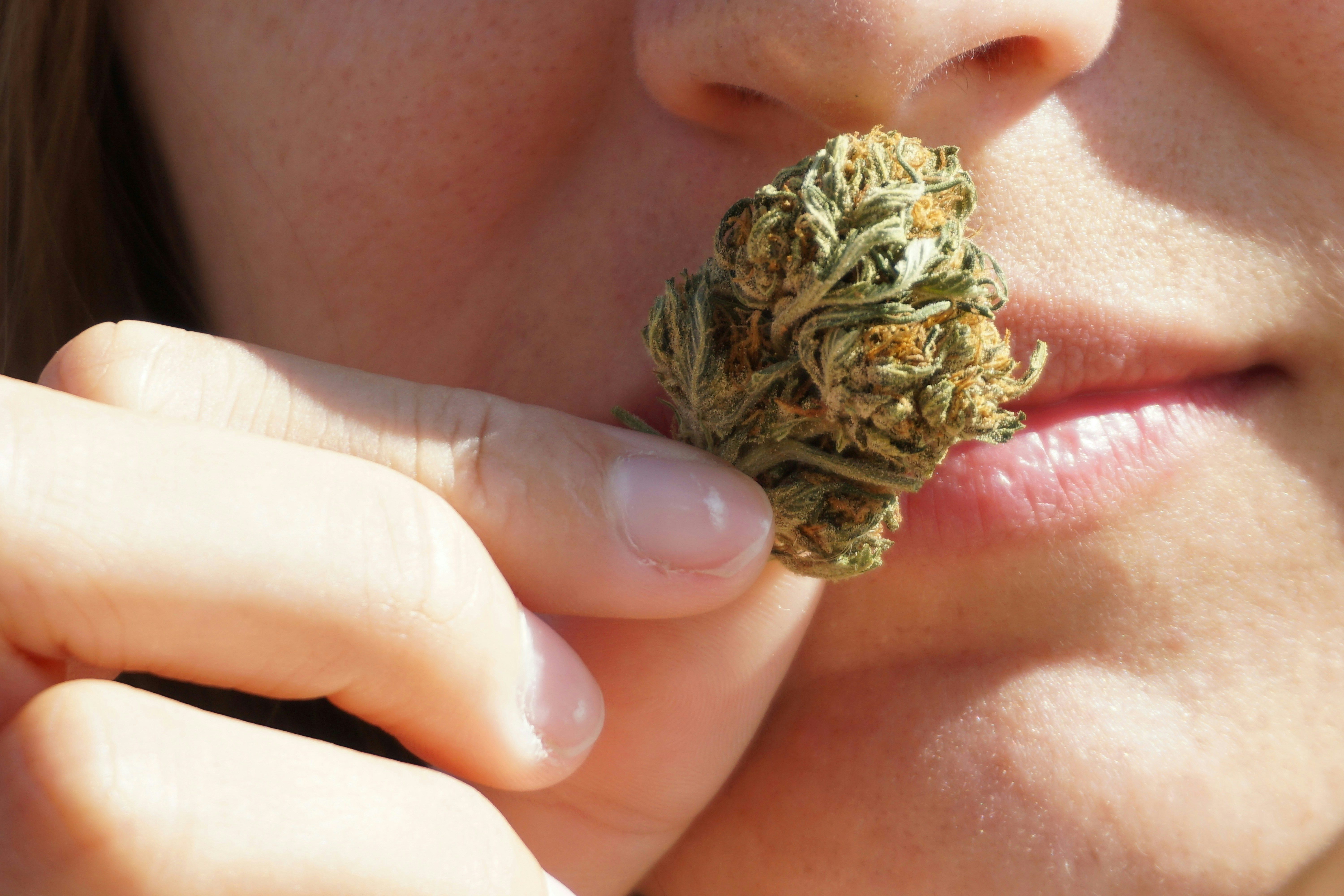 elsa olofsson 73ITGKJkBcc unsplash Weed Etiquette in 2025: From Circle Rules to Zoom Sesh Faux Pas