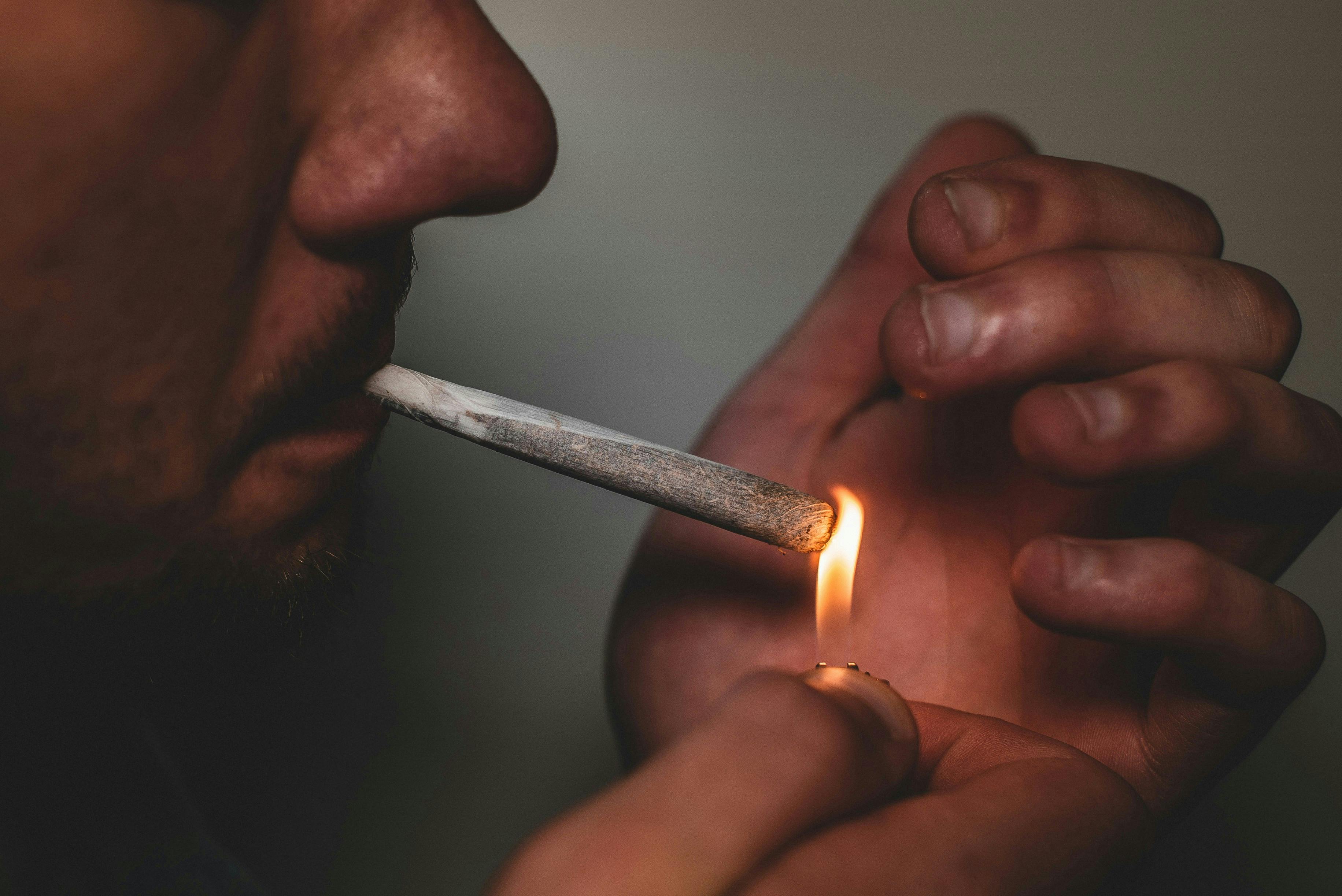 gras grun jqDh2Uwj2ZI unsplash 2 Weed Etiquette in 2025: From Circle Rules to Zoom Sesh Faux Pas