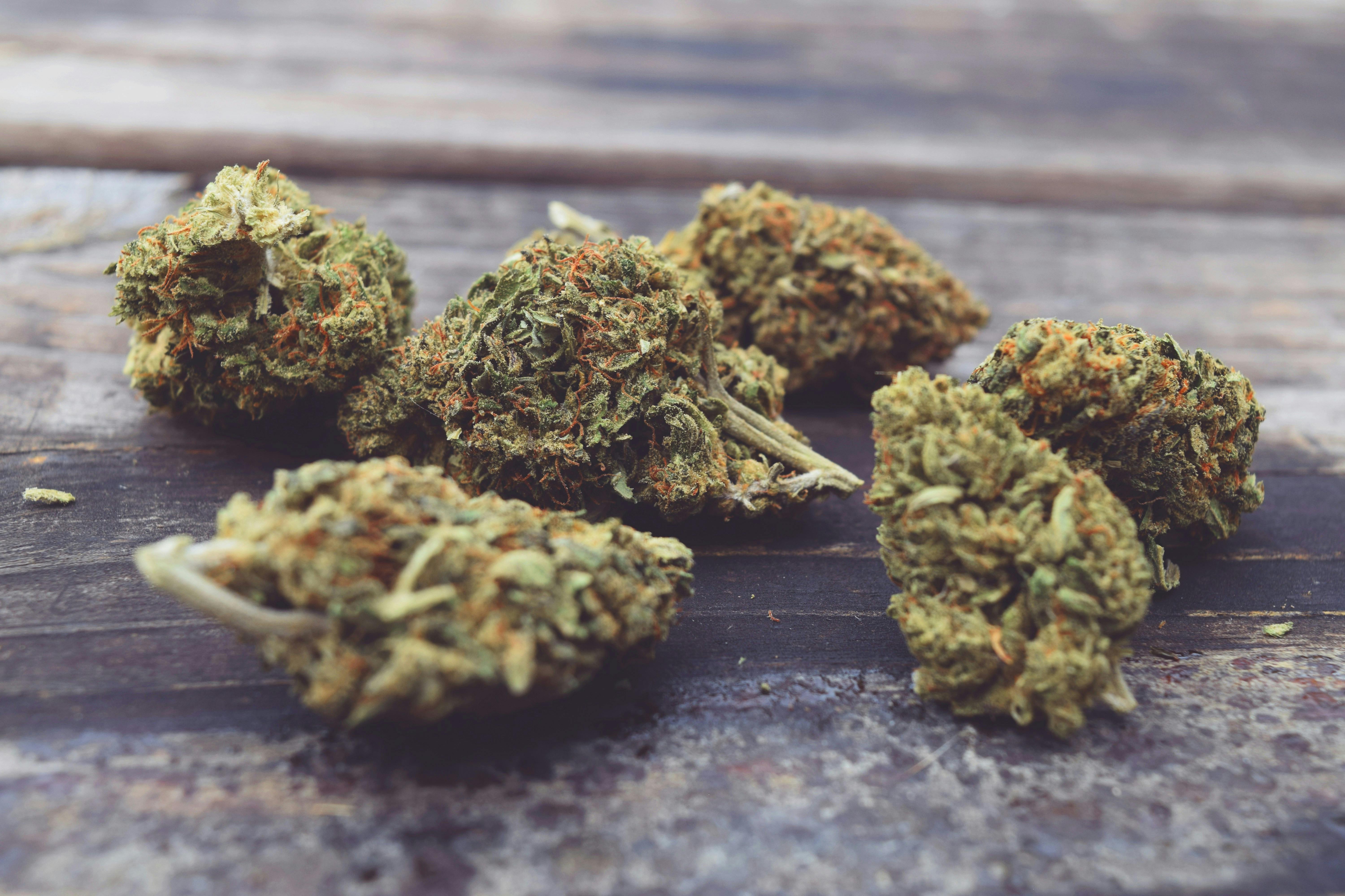 canvast supply co 40OH9u5gbcI unsplash 1 What Happens If You Eat Raw Weed? (Spoiler: It’s Not What You Think)