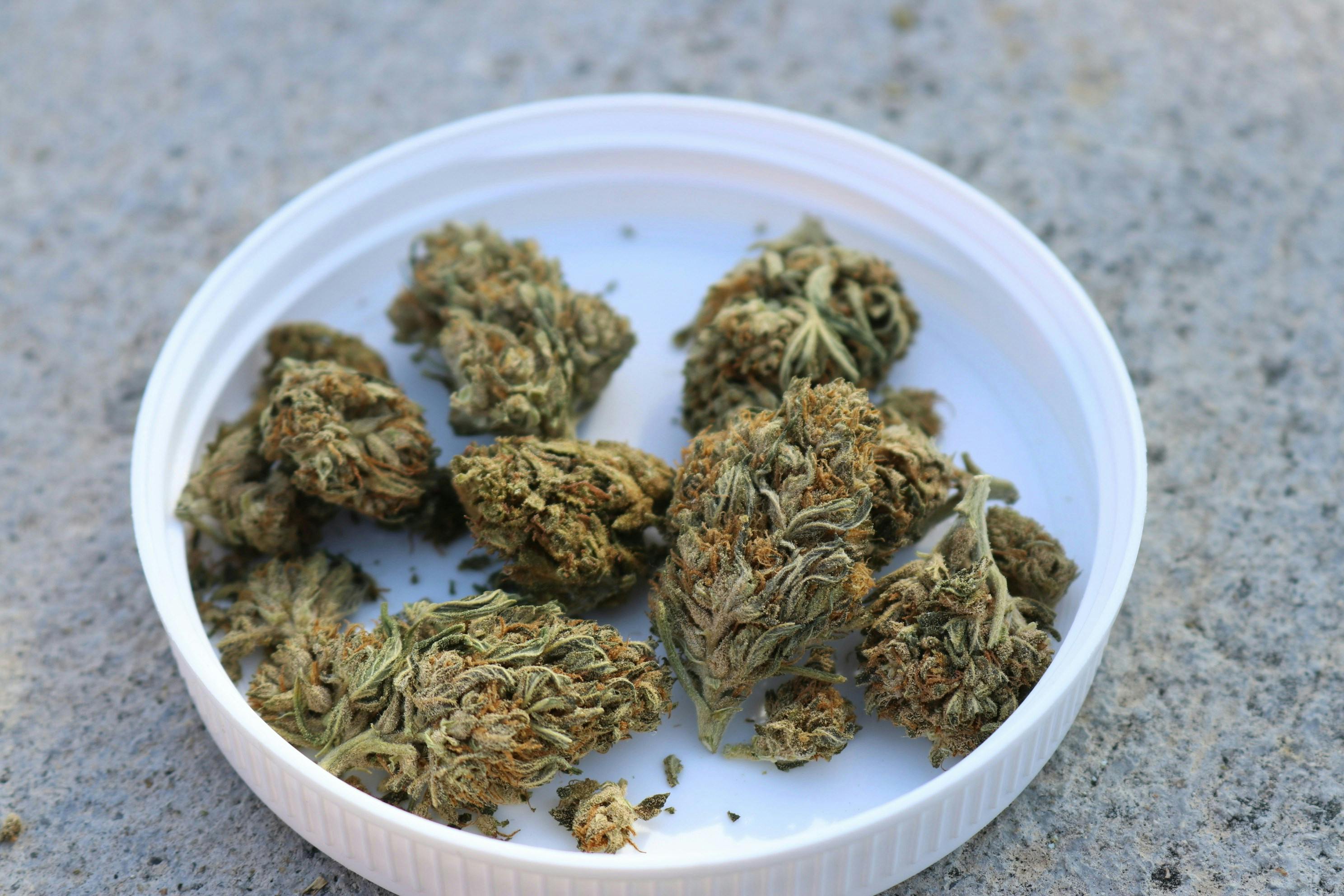 elsa olofsson LM2T9UKkigU unsplash 2 What Happens If You Eat Raw Weed? (Spoiler: It’s Not What You Think)