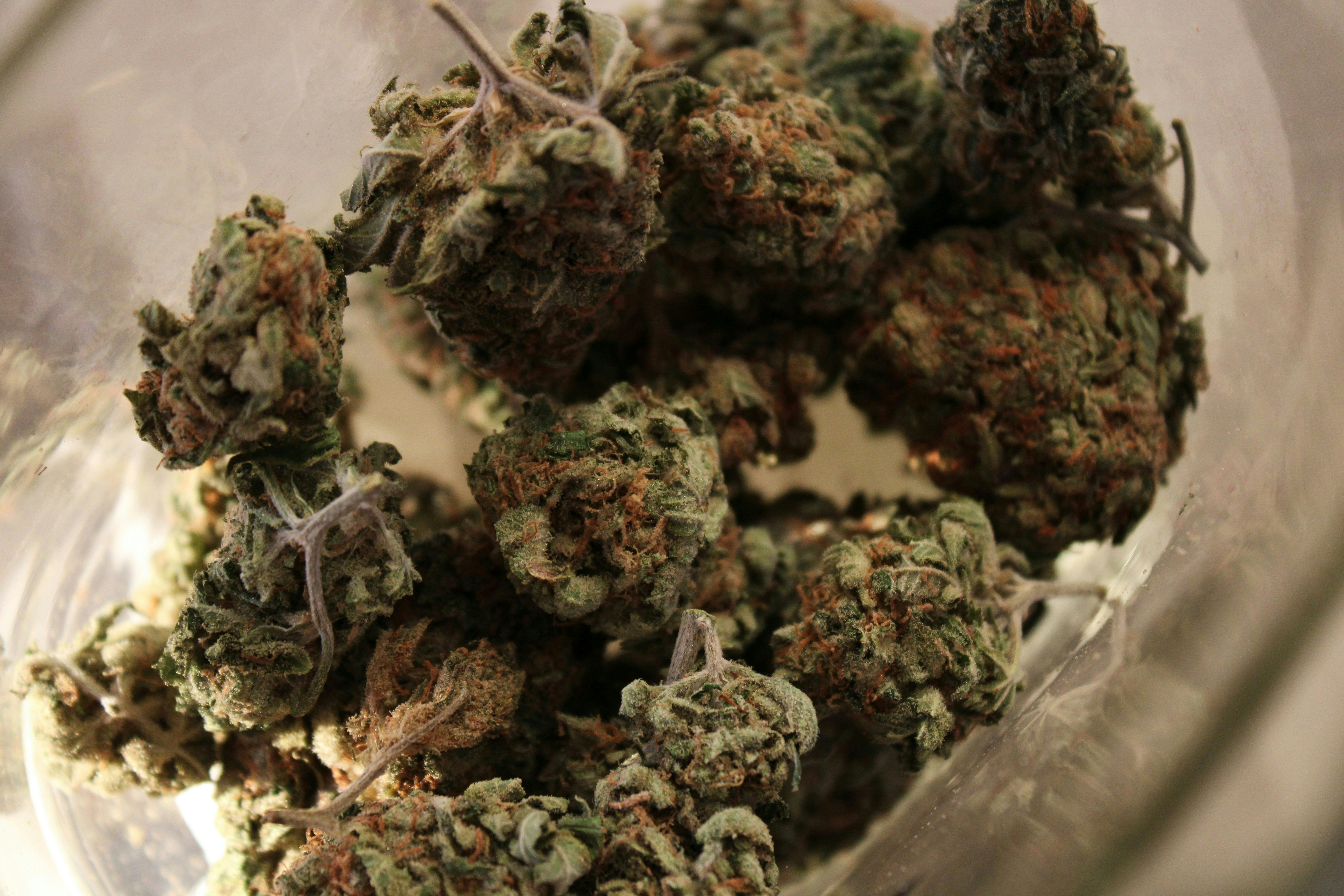 gaetano sferrazza 1X1Z98X0NSw unsplash 3 What Happens If You Eat Raw Weed? (Spoiler: It’s Not What You Think)