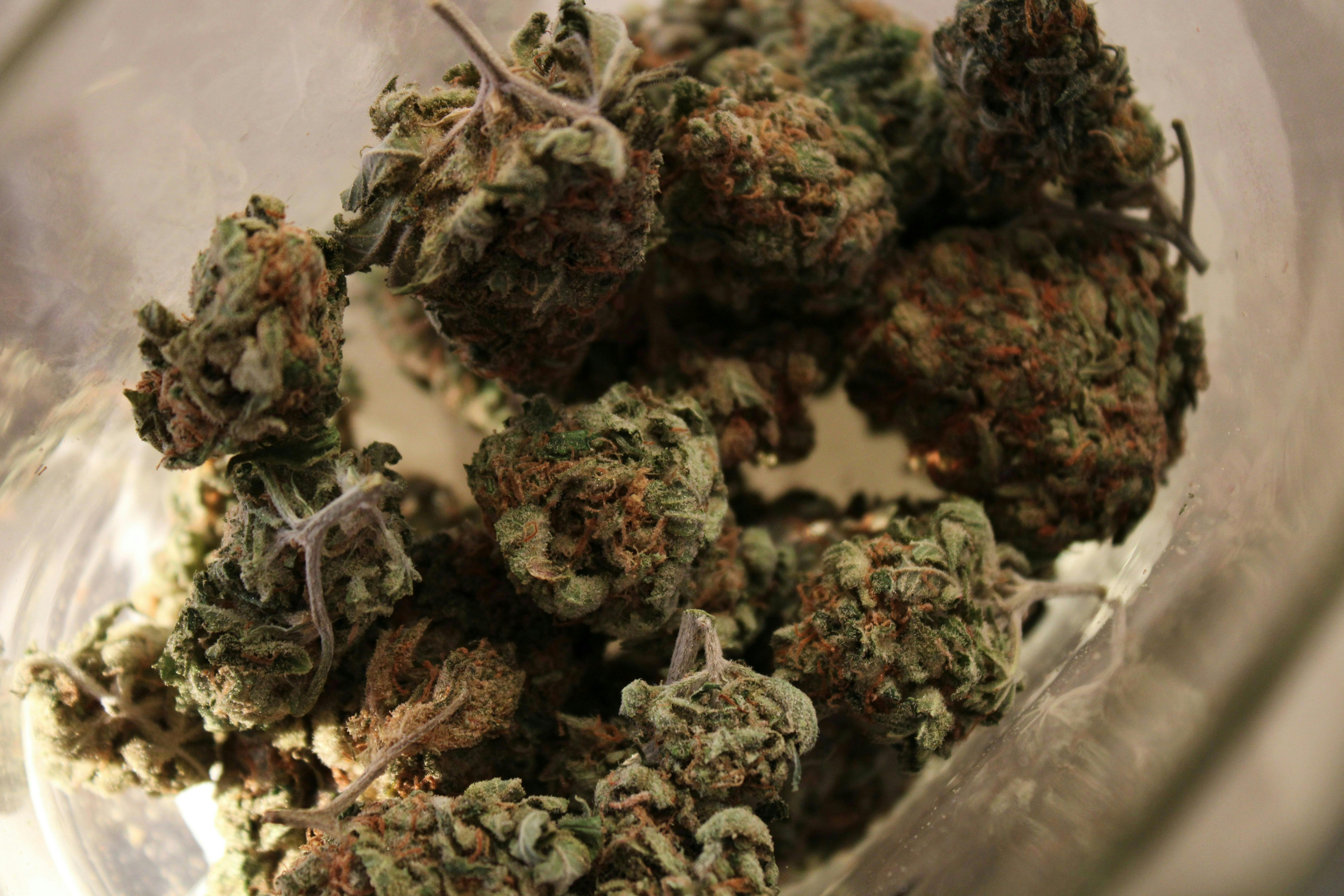 gaetano sferrazza 1X1Z98X0NSw unsplash 3 What Happens If You Eat Raw Weed? (Spoiler: It’s Not What You Think)